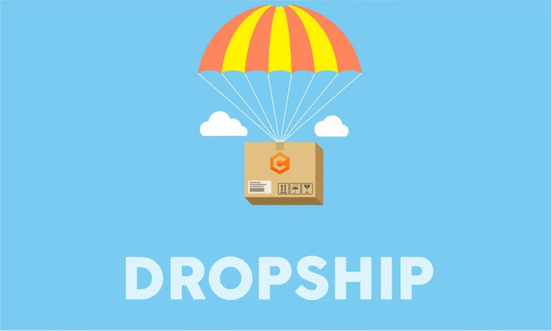 Dropshipping from our warehouse to your client