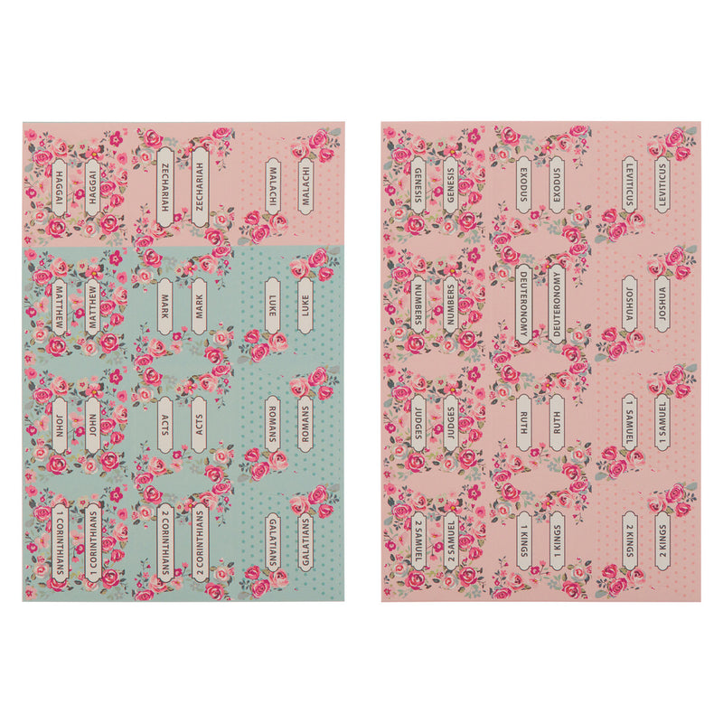 Pink and Blue Old and New Testament