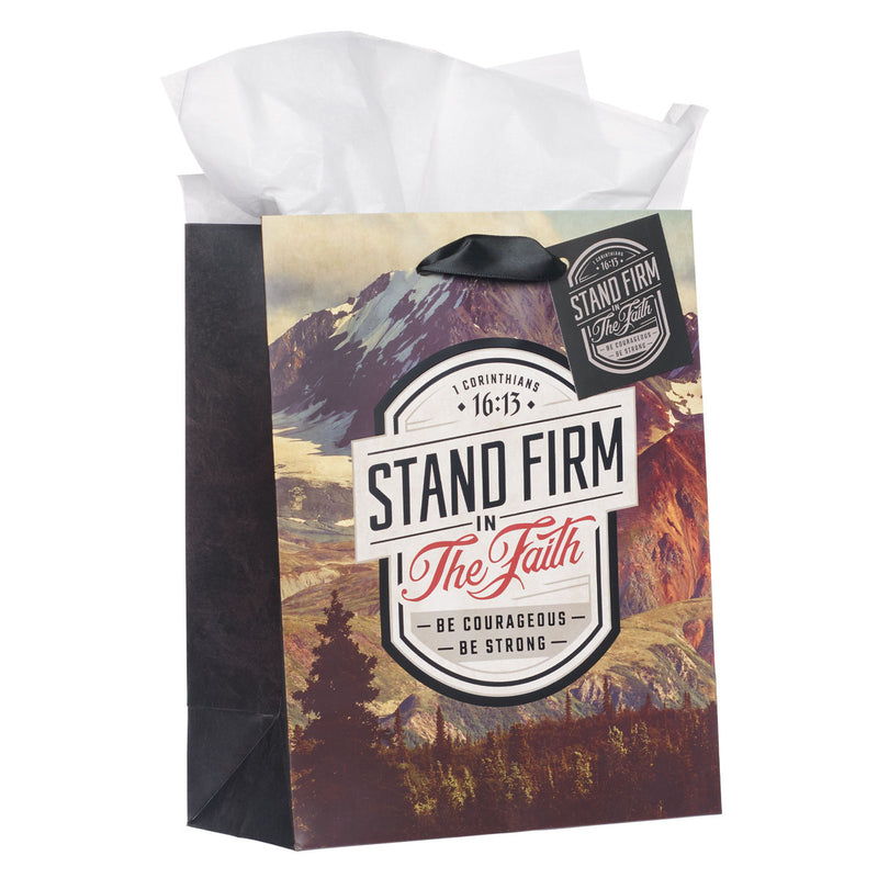 Stand Firm in the Faith Mountain View