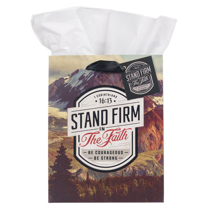 Stand Firm in the Faith Mountain View