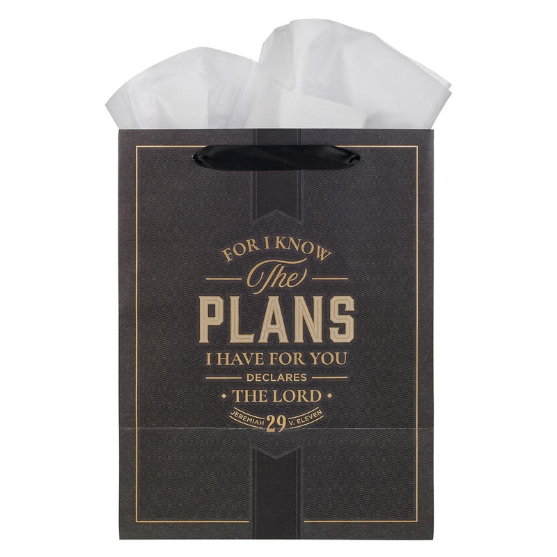 I Know the Plans Jer. 29:11 Gift Bag LG Portrait