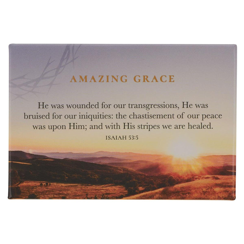 Crown of Thorns/Amazing Grace Isa. 53:5 Magnet
