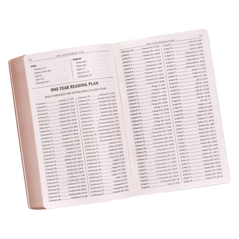 KJV Bible Gift & Award Faux Leather, Tan