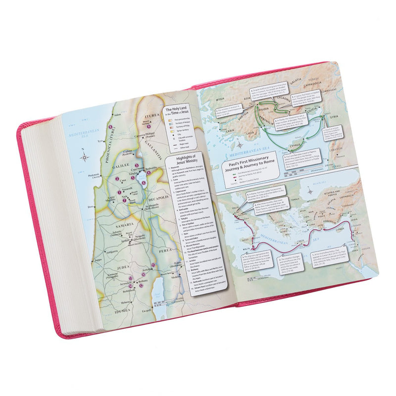 KJV Bible Compact LP Faux Leather, Pink
