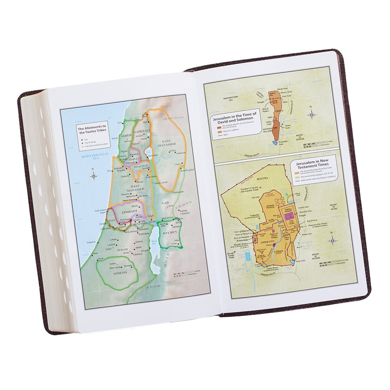 KJV Bible Giant Print Standard-size Faux Leather, Dark Brown