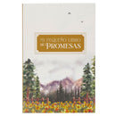 Mi Pequeno Libro De Promesas