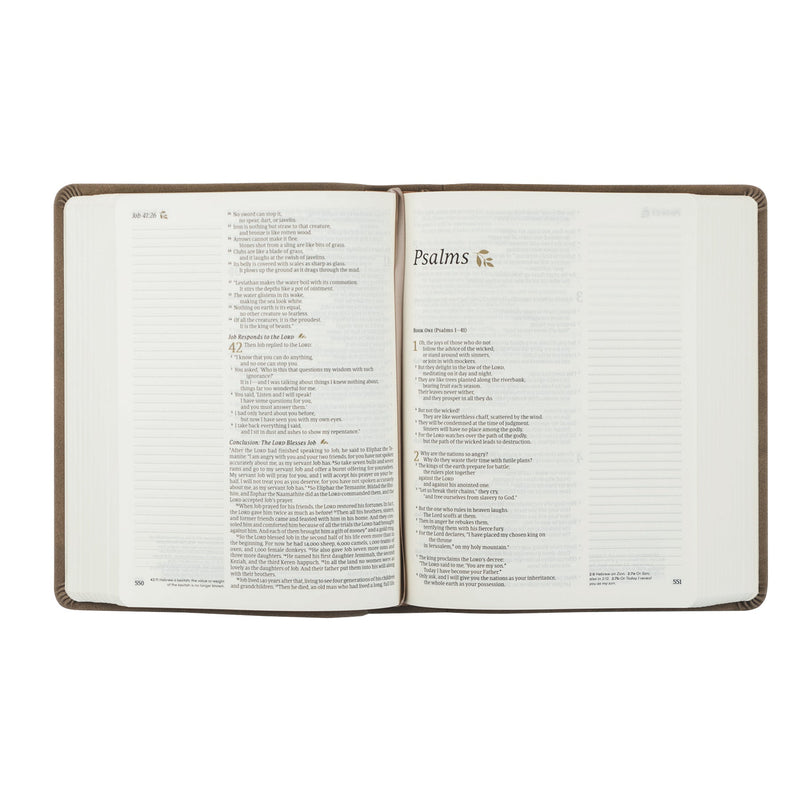NLT Notetaking Bible: Marlo theme