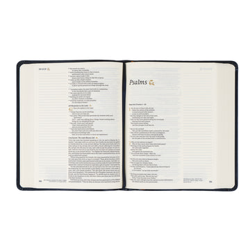 NLT Notetaking Bible: Versaille theme