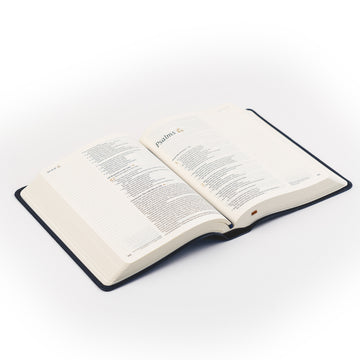 NLT Notetaking Bible: Versaille theme