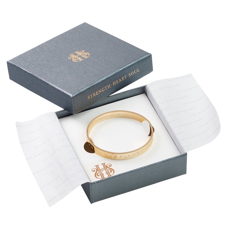 I know the plans - Hinged bangle