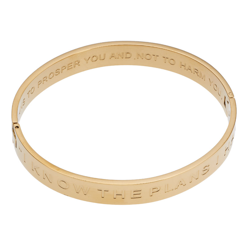 I know the plans - Hinged bangle