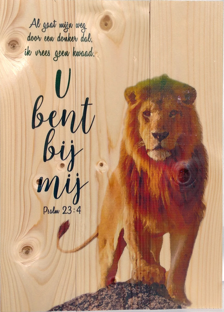 Leeuw U bent bij mij Psalm 23