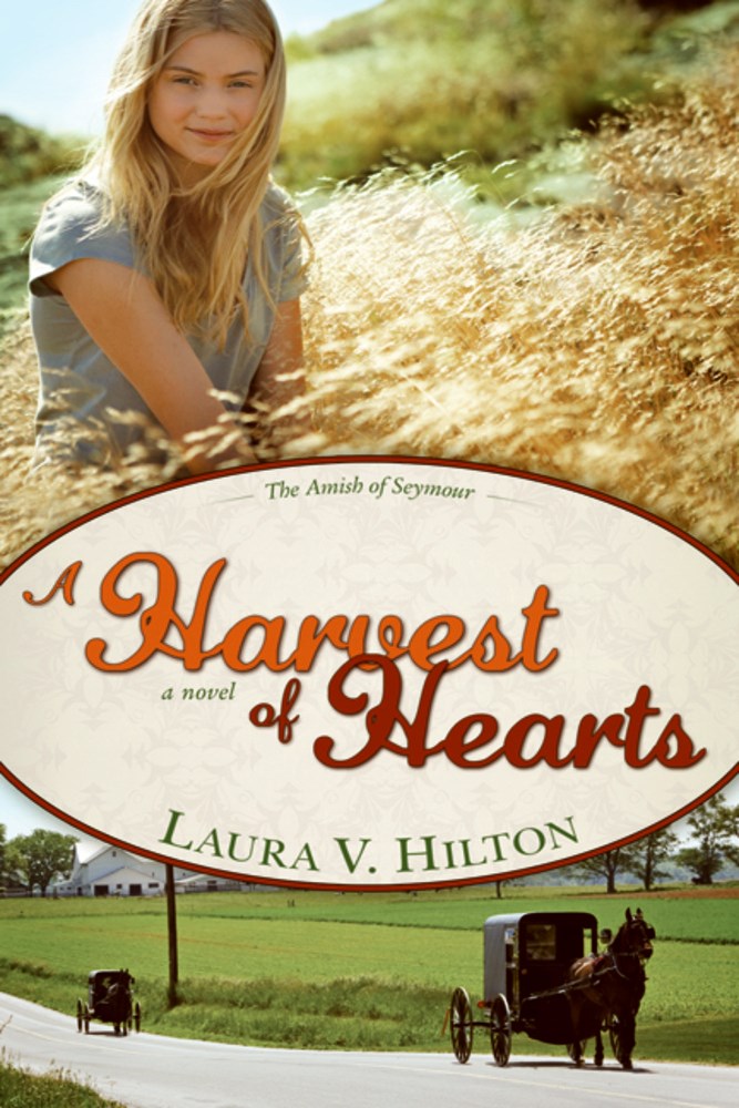 Harvest Of Hearts (Amish Of Seymour V2) 