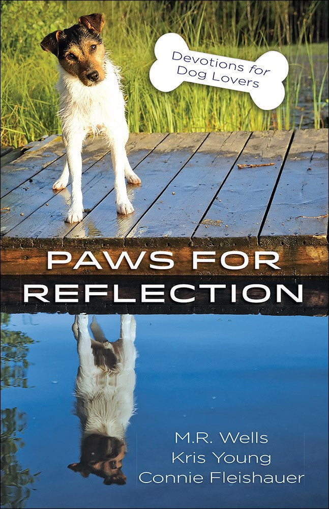 Paws For Reflection (Re-Release)