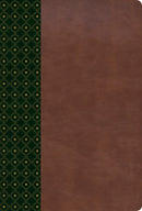 Span-RVR 1960 New Scofield Study Bible (Nueva Biblia de Estudio Scofield)-Dark Green LeatherTouch