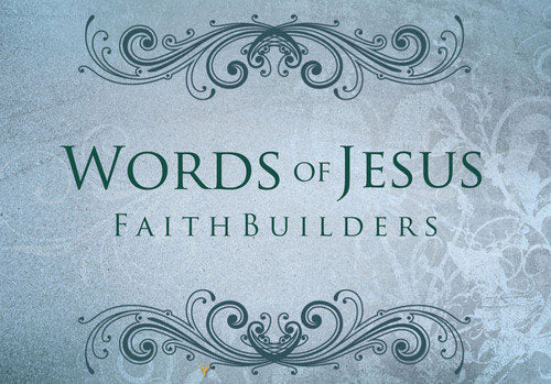Words of Jesus - 5 x 4 designs