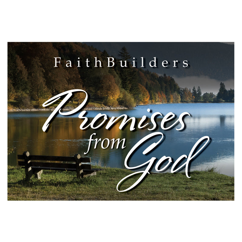 Promises from God - 5 x 4 designs