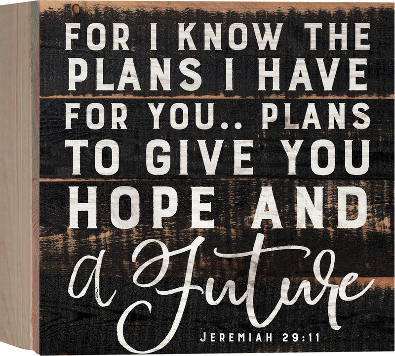 For I know the plans - Jer 29:11