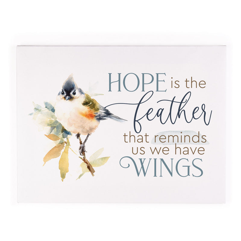 Hope Is The Feather That Reminds Us