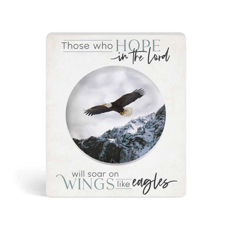 Those Who Hope In The Lord Will Soar On 