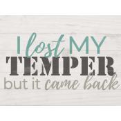 I lost my temper but it came back