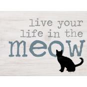 Live you life in the meow