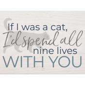 If I was a cat I'd spend all nine lives