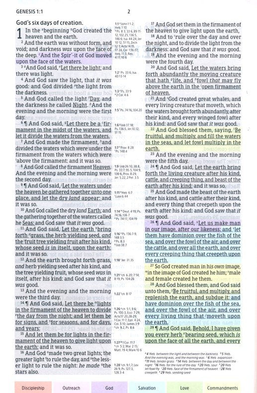 KJV Regenboog Studiebijbel - Hardcover