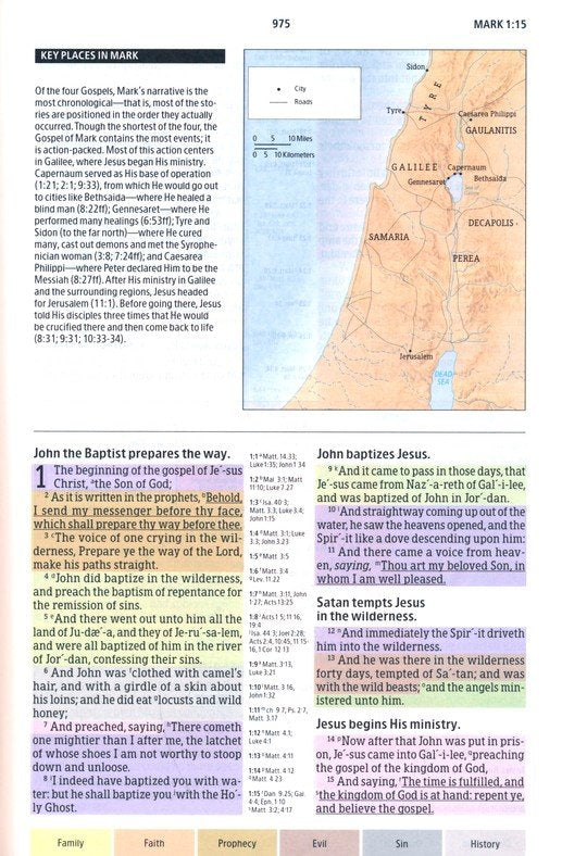 KJV Regenboog Studiebijbel - Hardcover