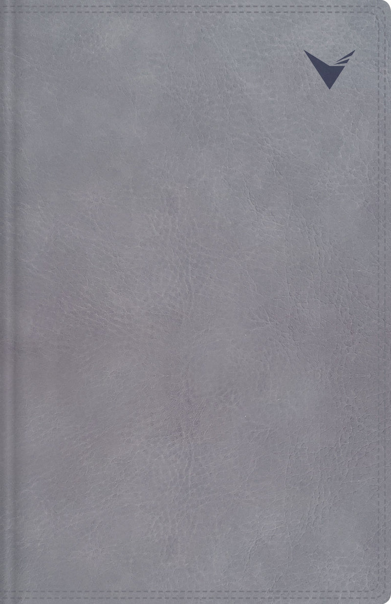 Span-NBLA Study Bible (Biblia de Estudio)-Gray Leathersoft