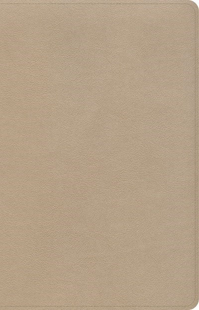 CSB Large Print Personal Size Reference Bible-Gold LeatherTouch