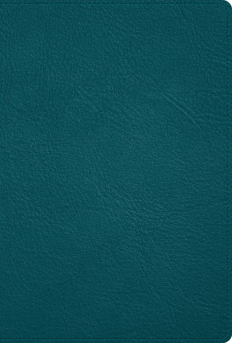 Span-RVR 1960 Deluxe Bible (Holman Handcrafted Collection) (Biblia Deluxe)-Turquoise Premium Goatskin