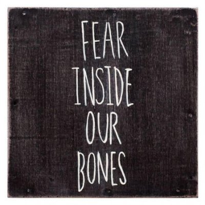 Fear Inside Our Bones (CD)
