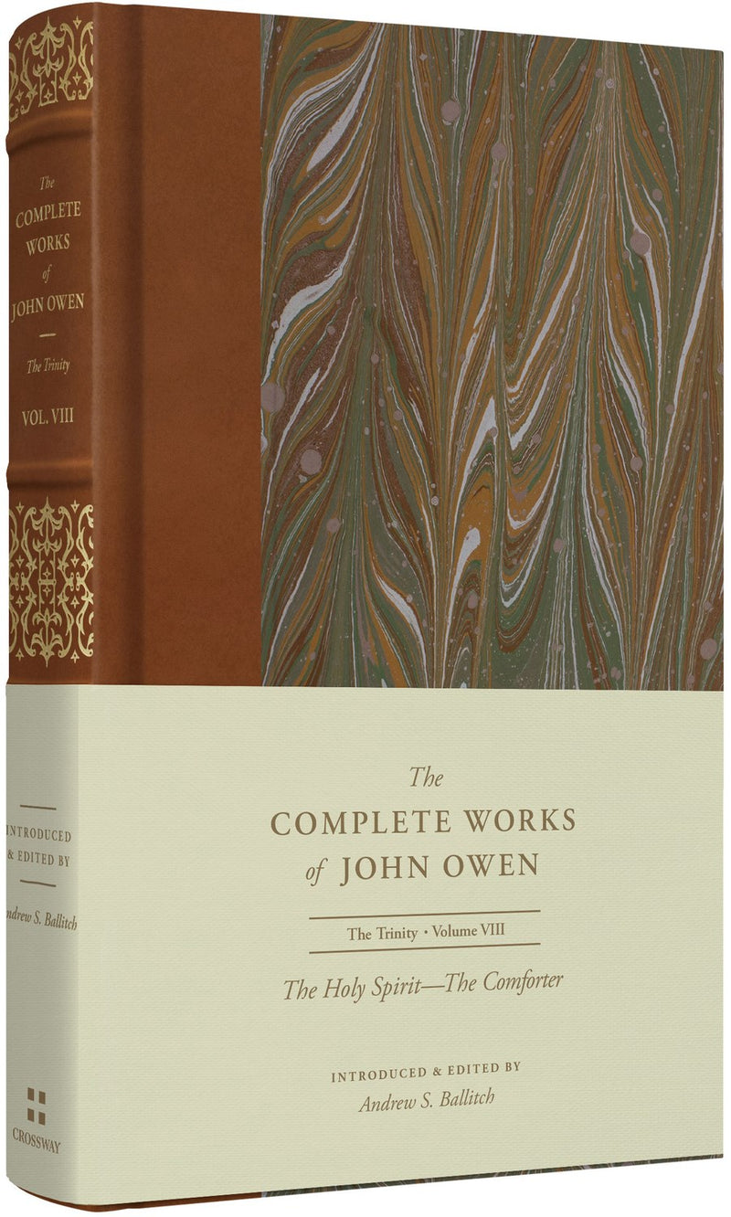 The Holy Spirit-The Comforter (The Complete Works Of John Owen)