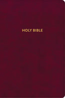 KJV Rainbow Study Bible-Burgundy LeatherTouch Indexed
