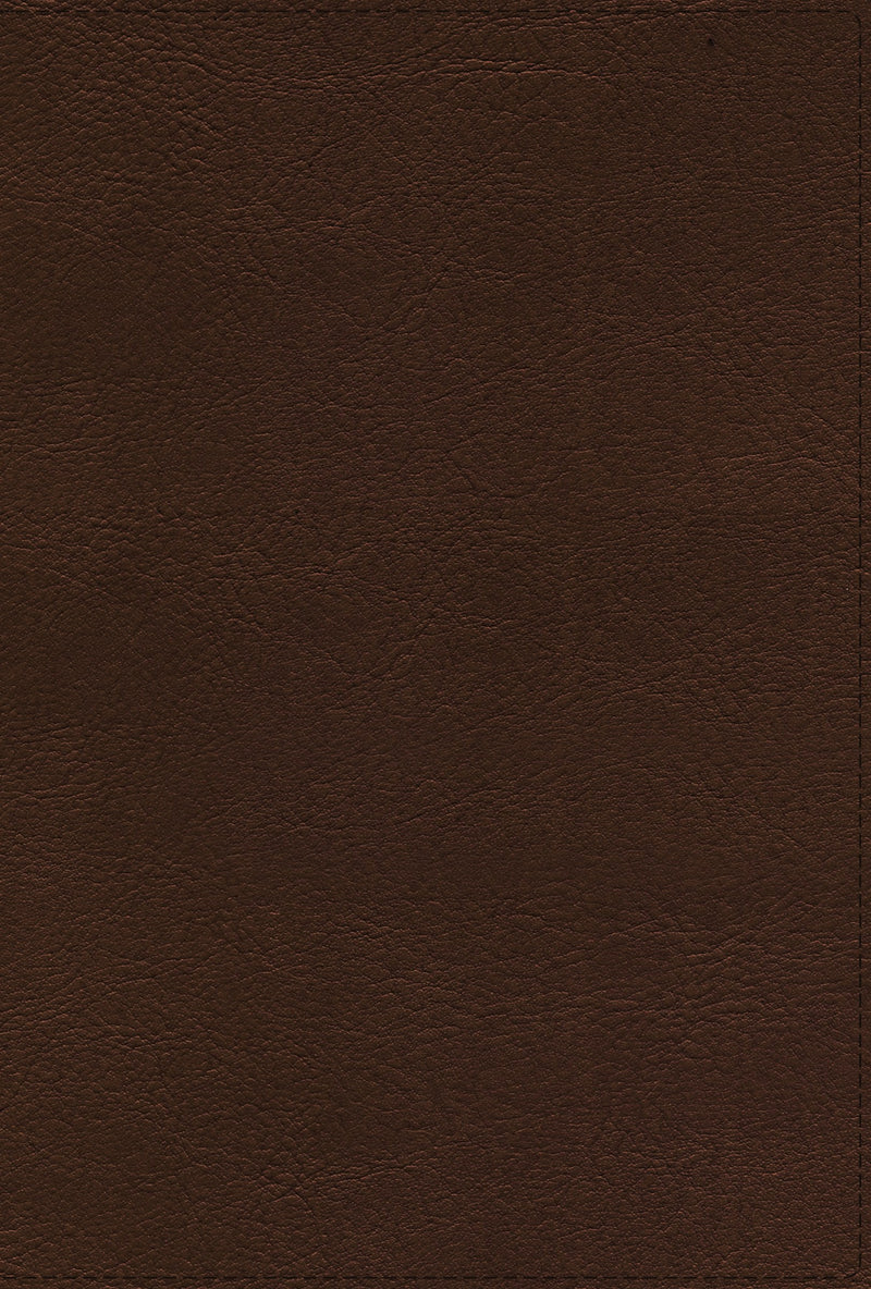 Span-RVR Thompson Chain Reference Bible (Biblia de Referencia Thompson)-Brown Leathersoft 
