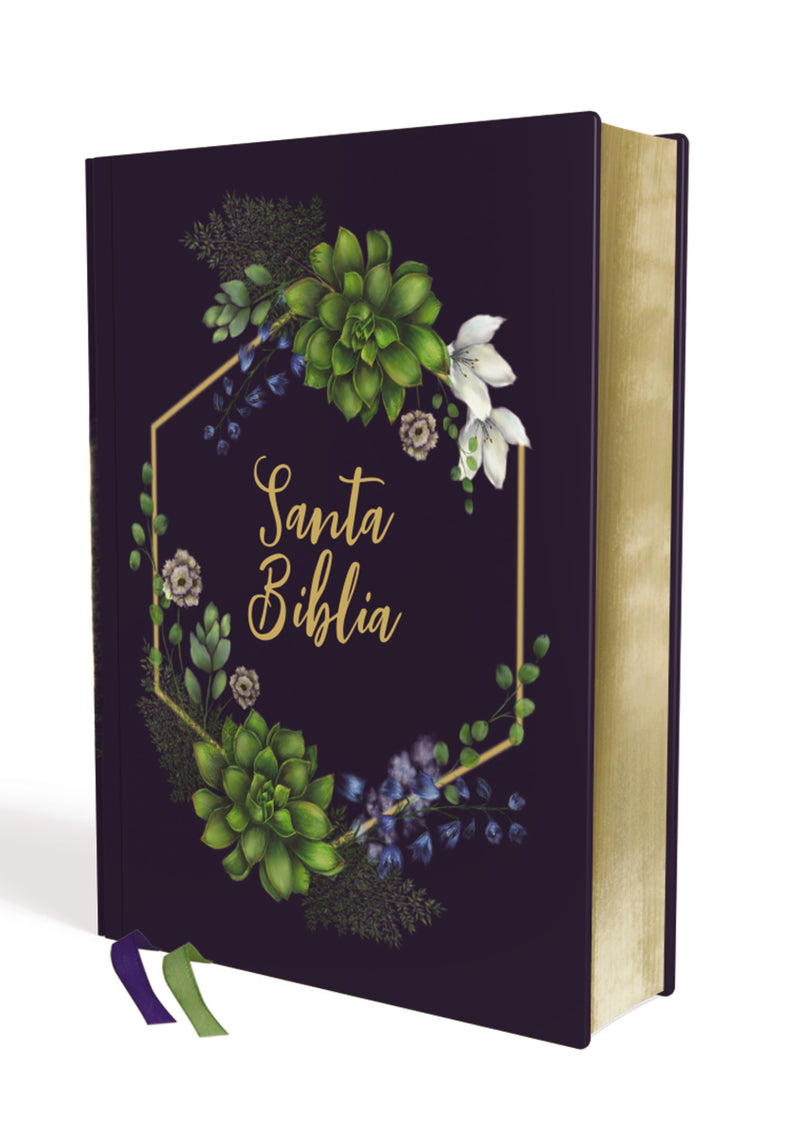 Span-NIV Artistic Collection Bible (Revised Text 2022) (Santa Biblia  Texto Revisado 2022  Edicion Artistica)-Hardcover