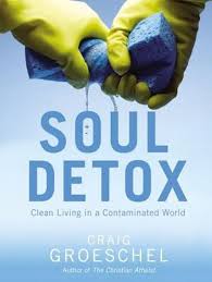 Soul Detox : Clean Living in a Contamina