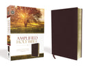 Amplified Holy Bible (Revised)-Burgundy Bonded Leather