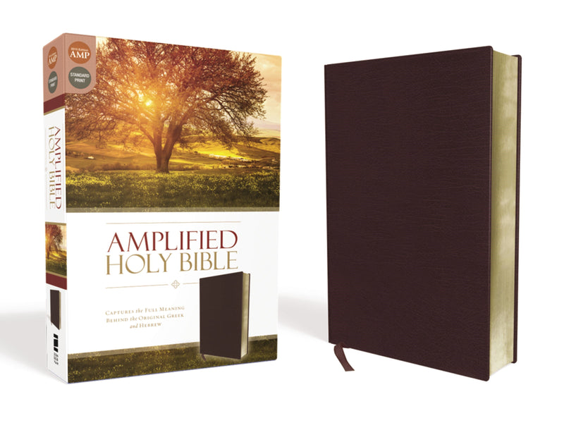 Amplified Holy Bible (Revised)-Burgundy Bonded Leather