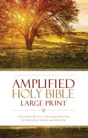 Amplified Holy Bible - Thinline - LP