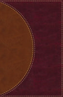 Amplified Reading Bible-Brown LeatherSoft Indexed