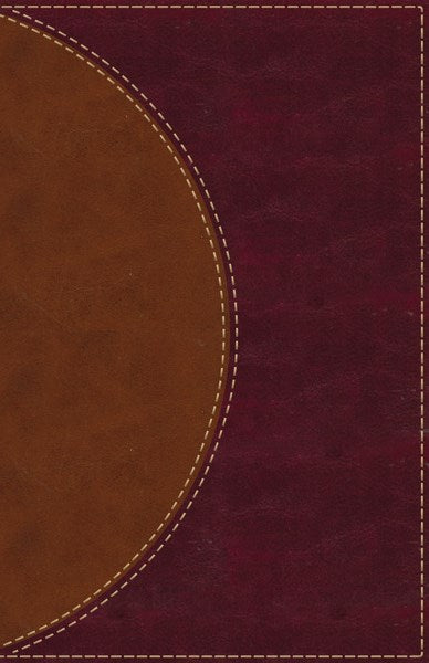 Amplified Reading Bible-Brown LeatherSoft Indexed