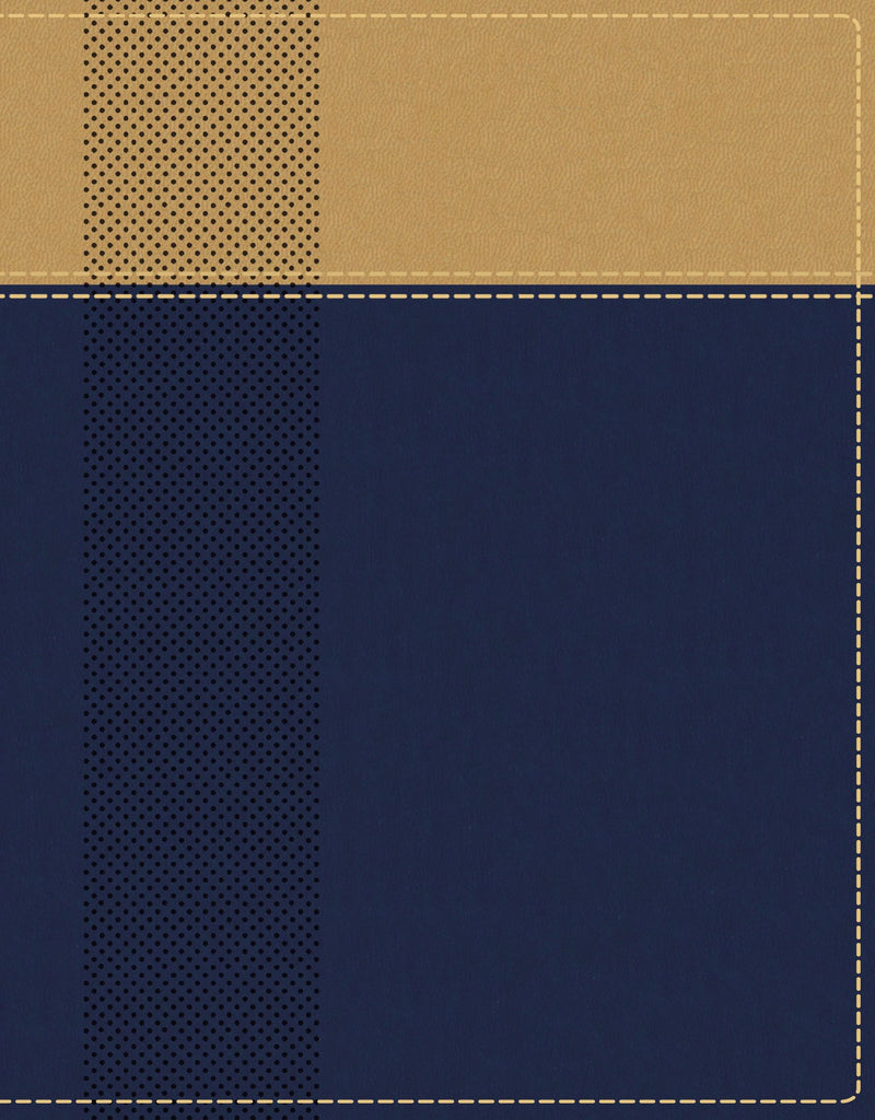 NIV Starting Place Study Bible (Comfort Print)-Navy/Tan Leathersoft Indexed