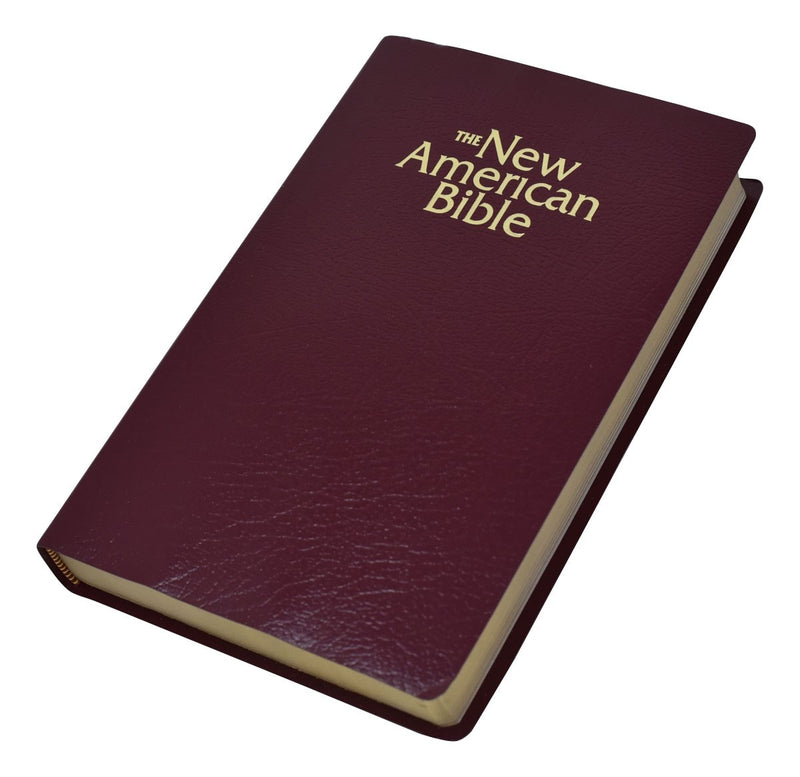 NABRE Gift And Award Bible-Burgundy Imitation Leather