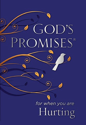 God's Promises For When You Are Hurting