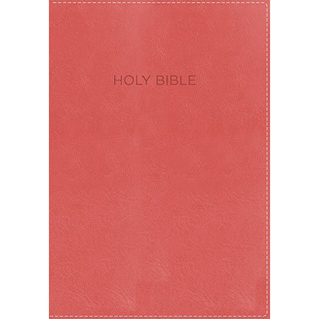 Foundation Study Bible - red