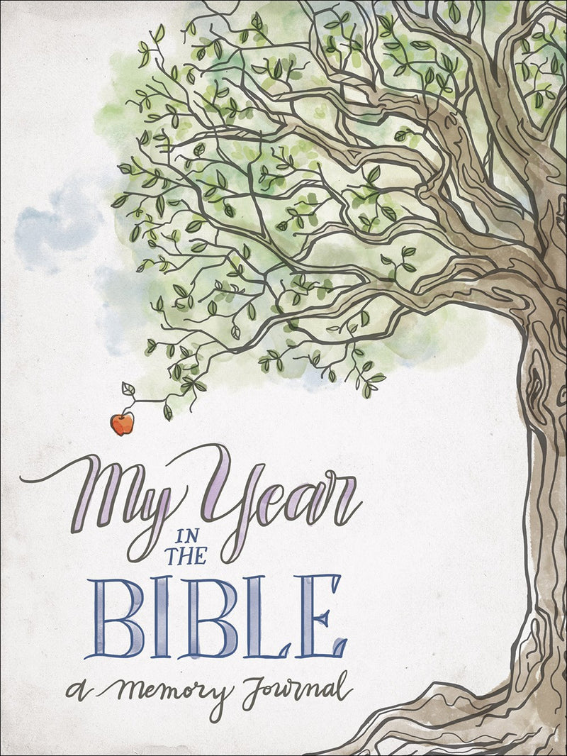 My Year In The Bible
