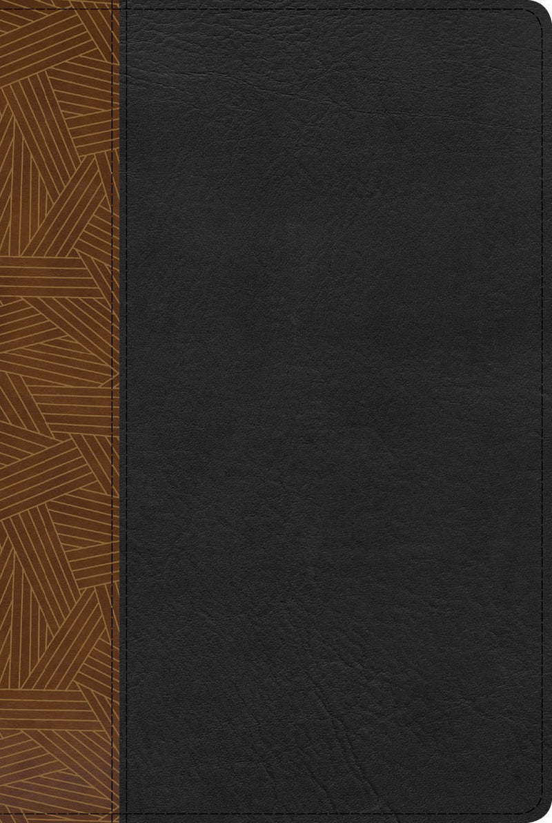 Span-RVR 1960 Rainbow Study Bible (Biblia de Estudio Acro Iris)-Tan/Black Imitation Leather Indexed (Jun 2022)