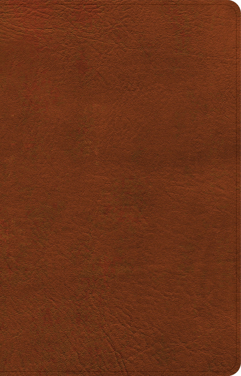 NASB 2020 Large Print Personal Size Reference Bible-Burnt Sienna LeatherTouch Indexed